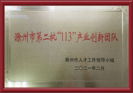 滁州市第二批“113”产业创新团队